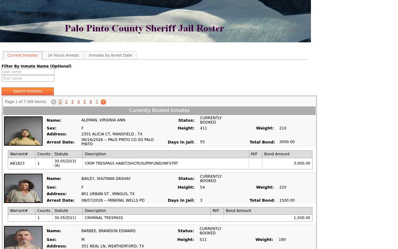 Palo Pinto County arrest records current inmate interface