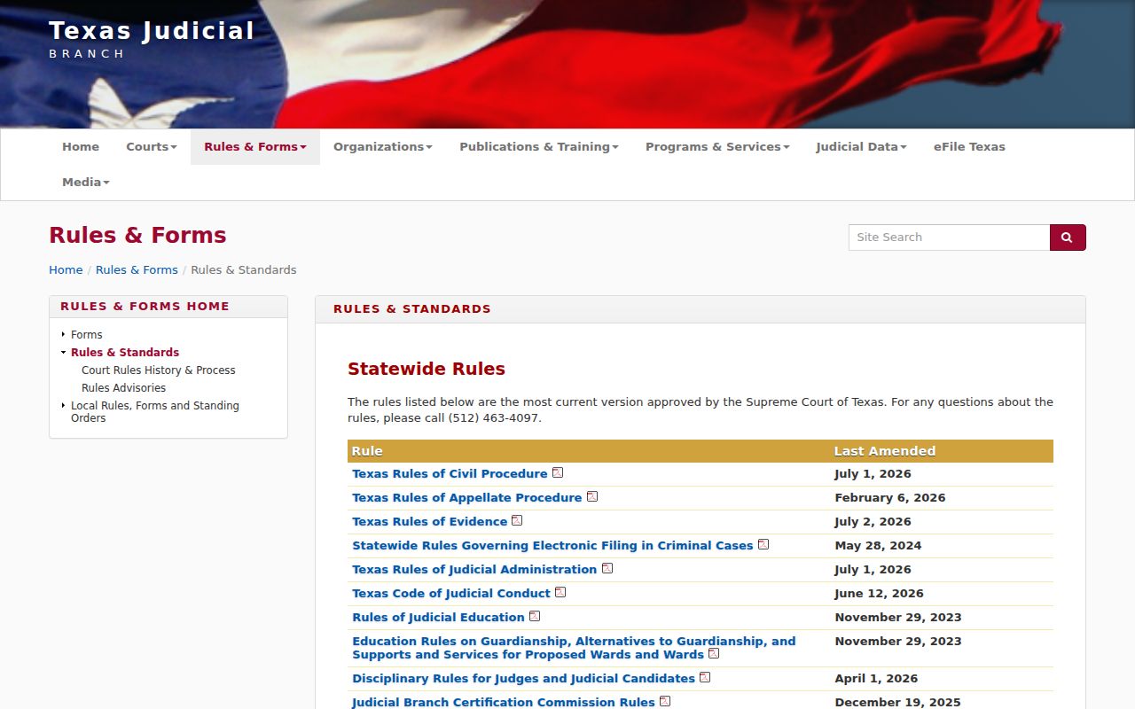 Texas access rules for Palo Pinto County criminal court cases