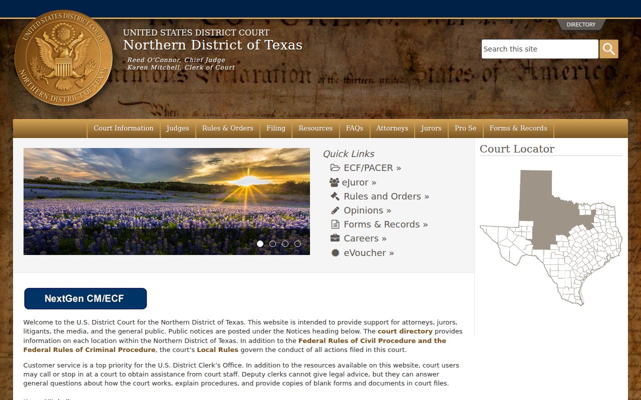 Palo Pinto County criminal records Northern District of Texas court